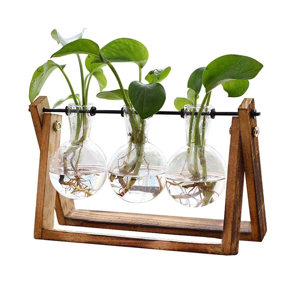 XXXFLOWER 3-Bulb Gradient Plant Terrarium with Wooden Stand