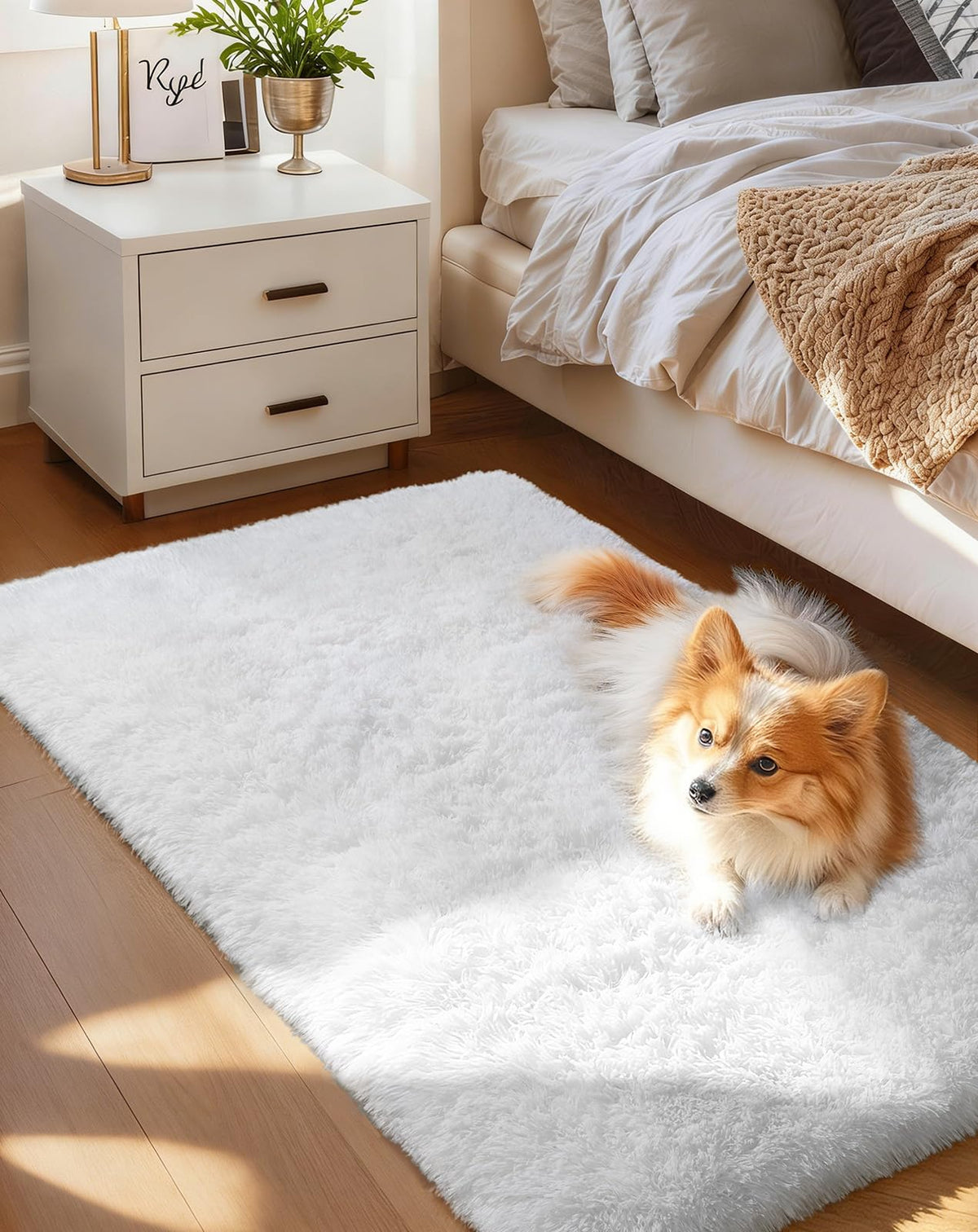 Ophanie Soft Area Rug for Bedroom and Living Room