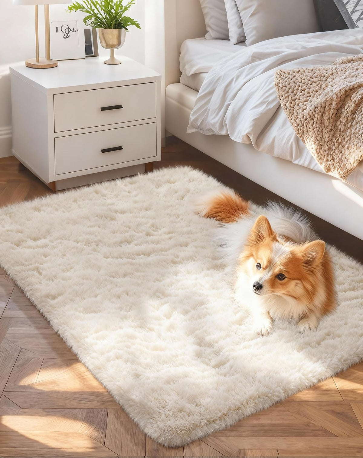 Ophanie Soft Area Rug for Bedroom and Living Room