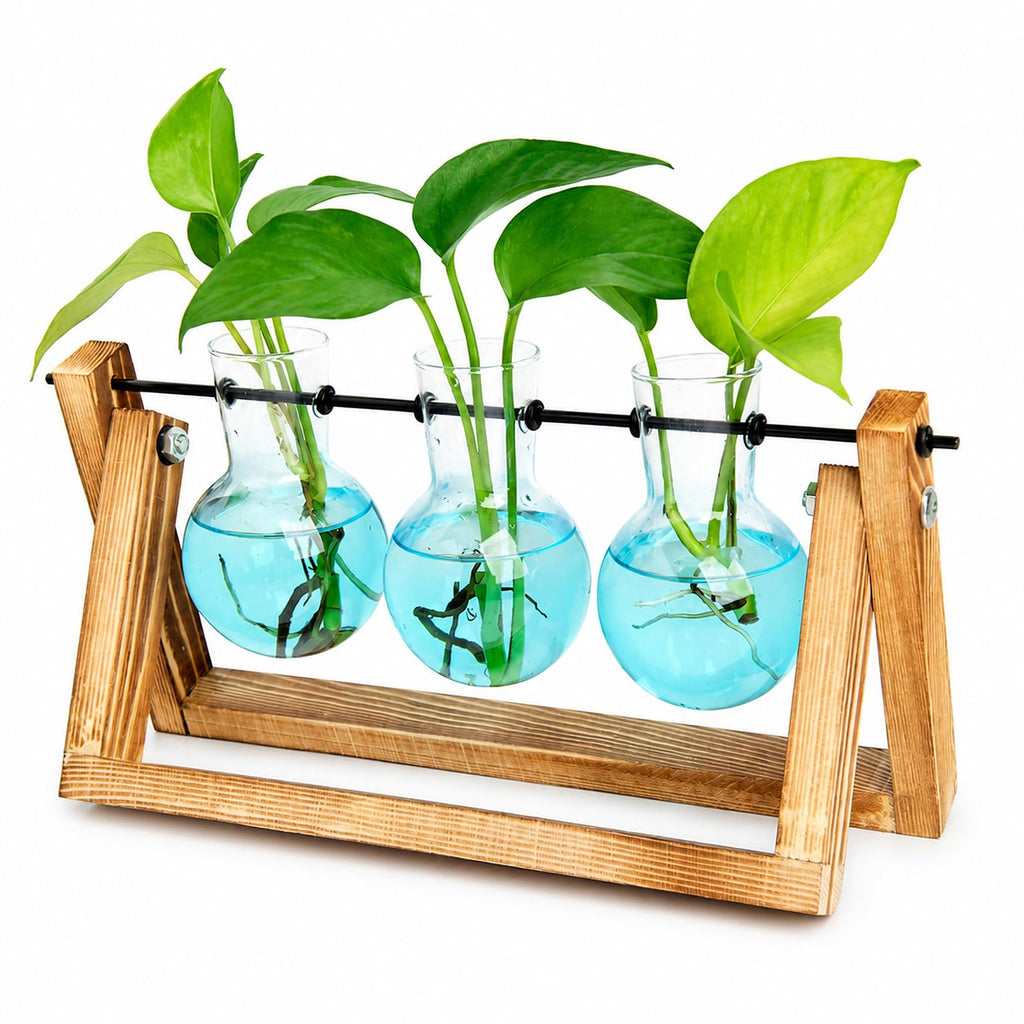 XXXFLOWER 3-Bulb Gradient Plant Terrarium with Wooden Stand