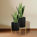ARNIS Modern Metal Planter Pots with Stands, Set of 2