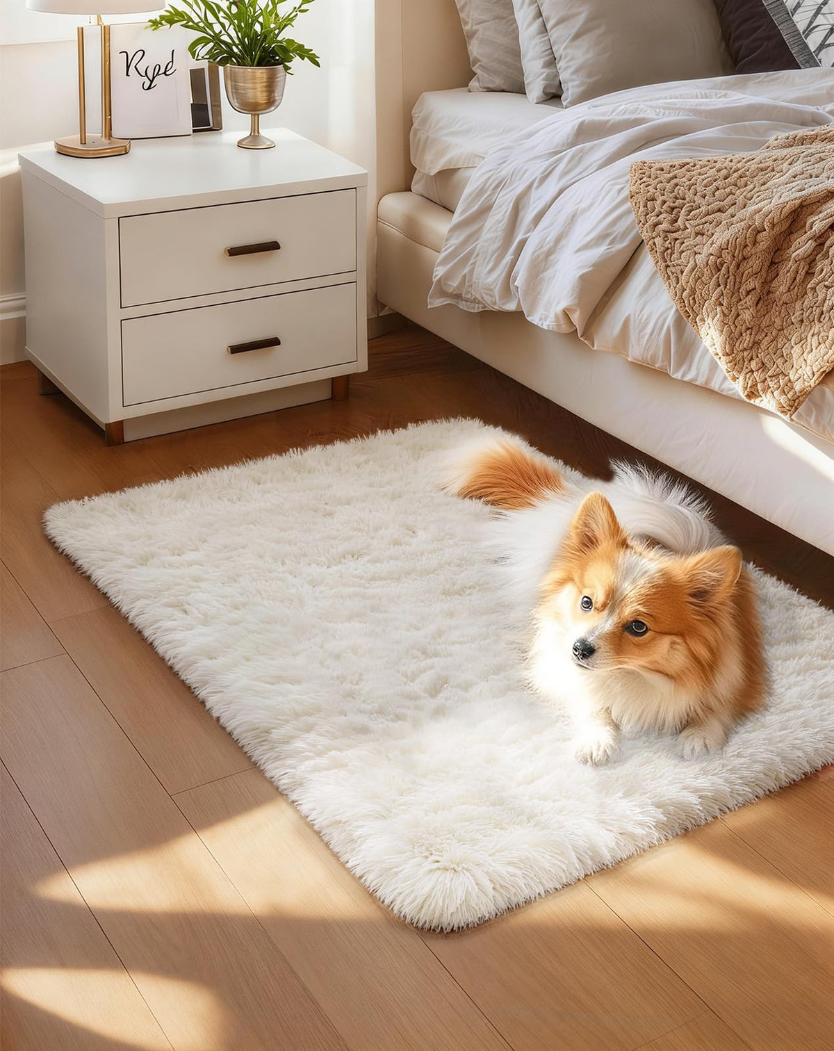 Ophanie Soft Area Rug for Bedroom and Living Room
