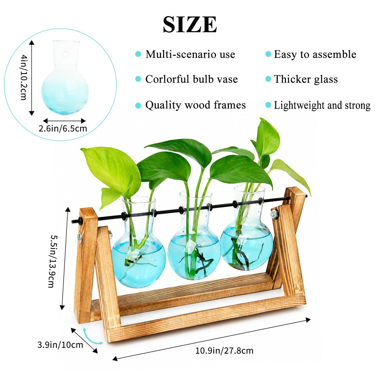 XXXFLOWER 3-Bulb Gradient Plant Terrarium with Wooden Stand