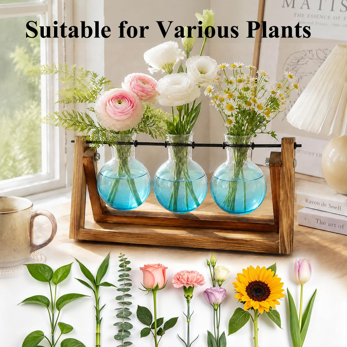 XXXFLOWER 3-Bulb Gradient Plant Terrarium with Wooden Stand