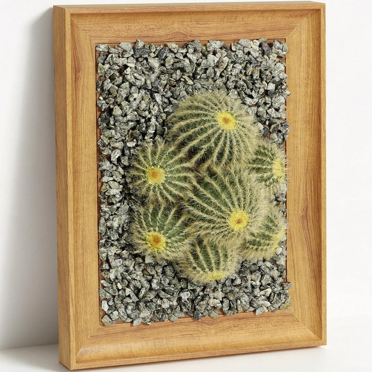 OKKMAX 3D Cactus Wall Art with Realistic Wooden Frame