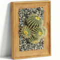 OKKMAX 3D Cactus Wall Art with Realistic Wooden Frame