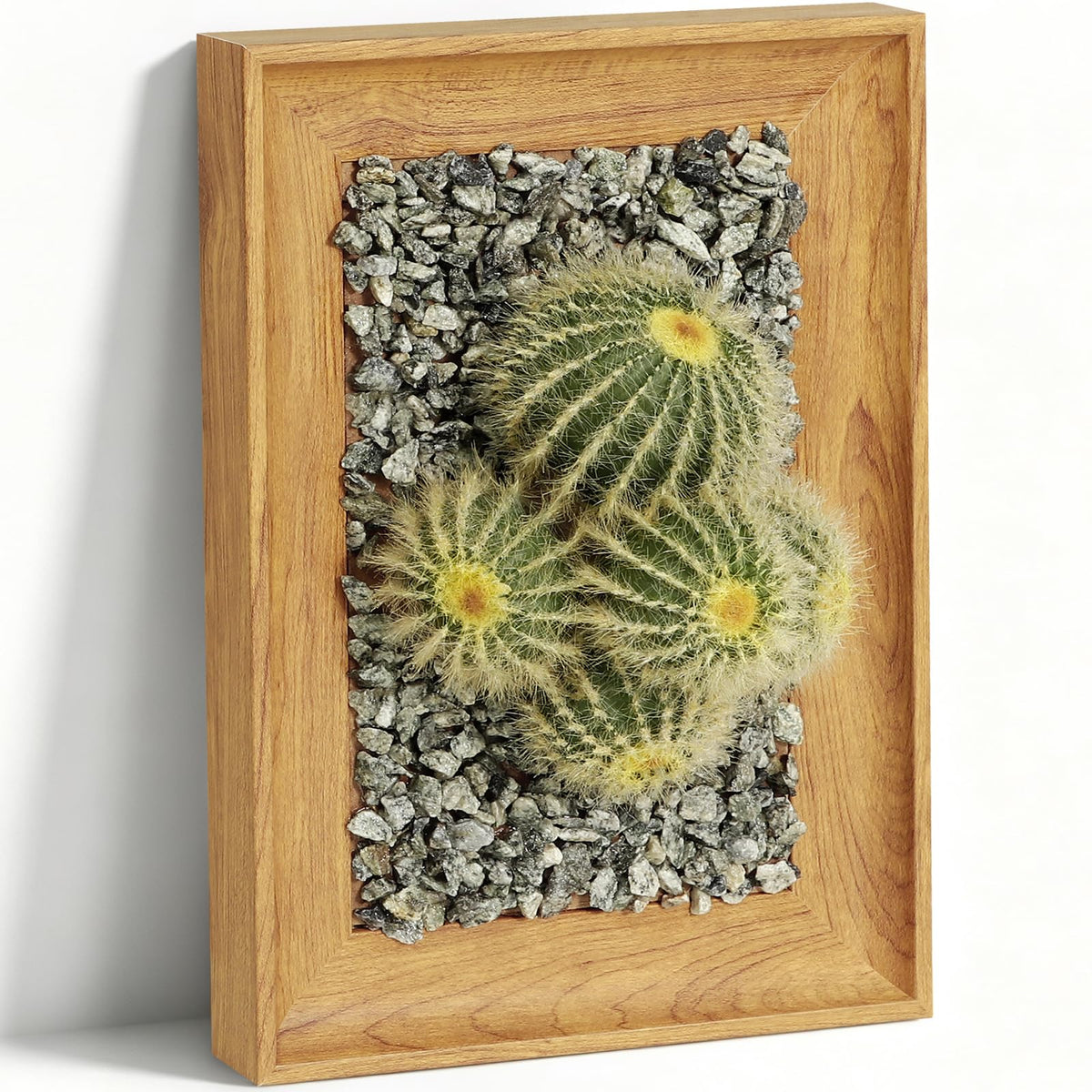 OKKMAX 3D Cactus Wall Art with Realistic Wooden Frame