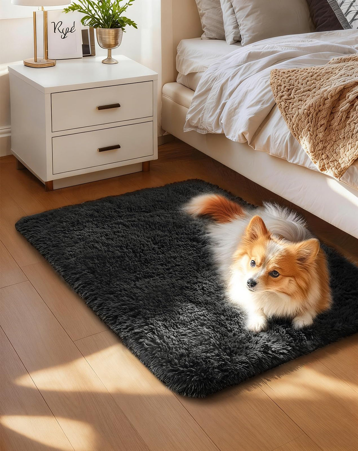 Ophanie Soft Area Rug for Bedroom and Living Room