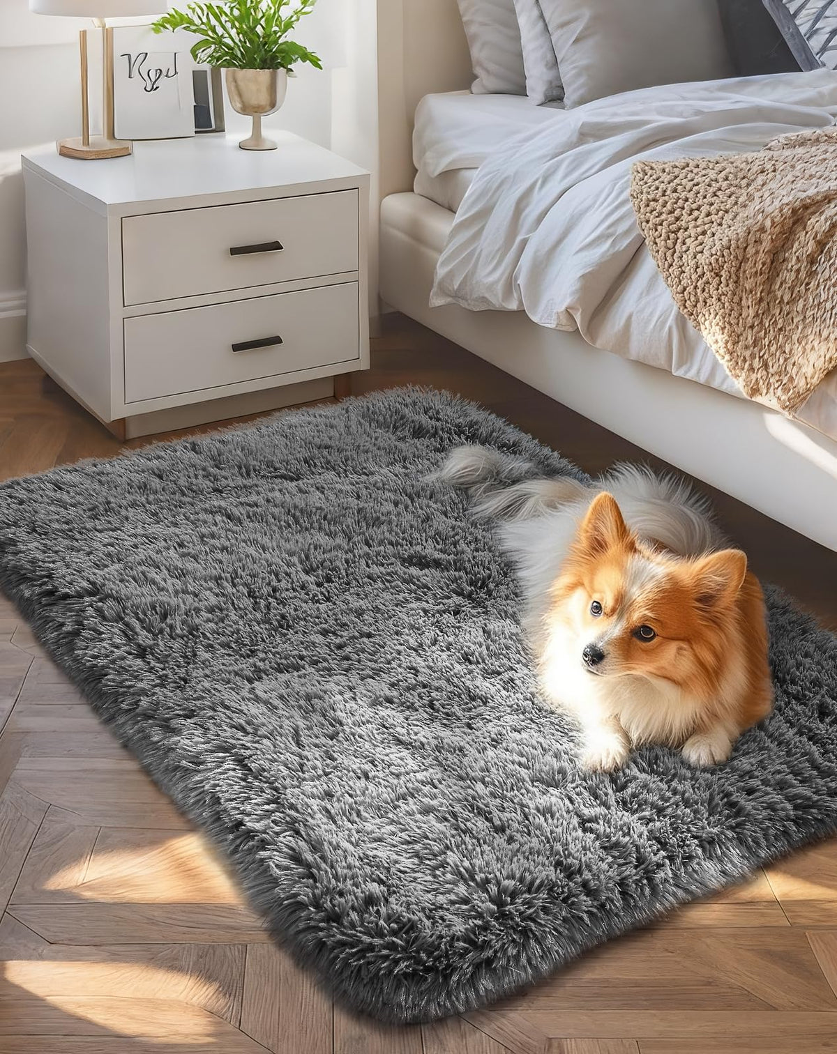 Ophanie Soft Area Rug for Bedroom and Living Room