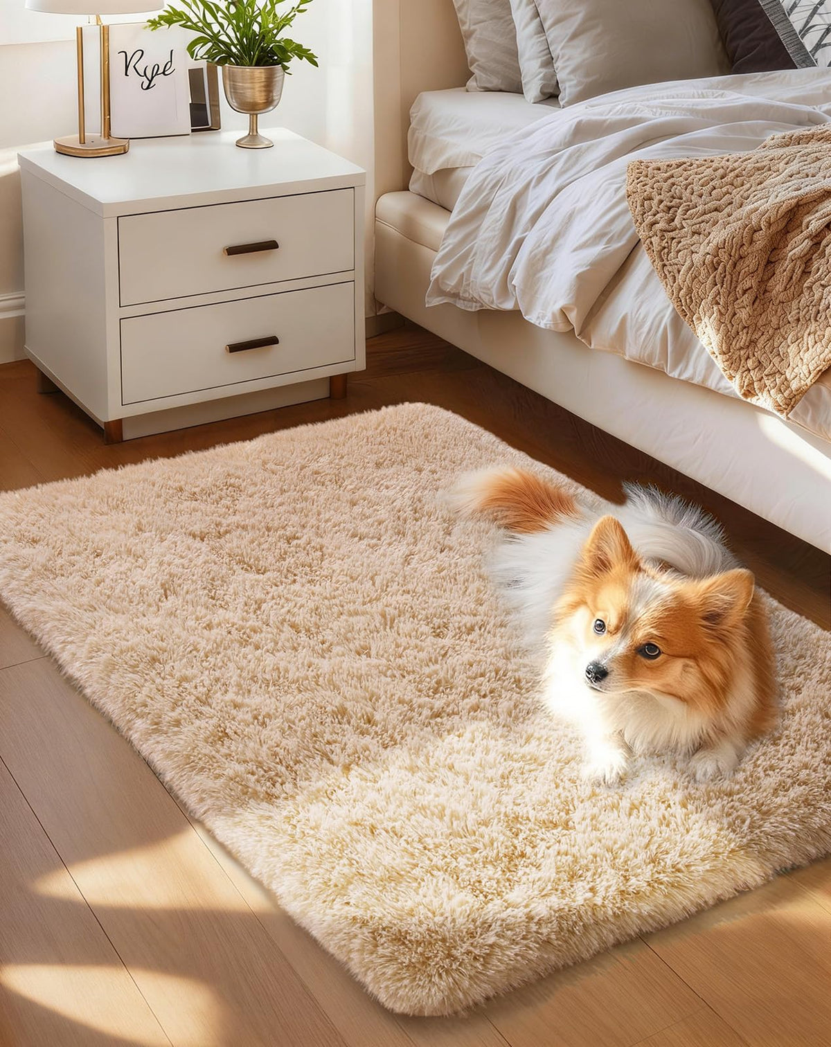 Ophanie Soft Area Rug for Bedroom and Living Room