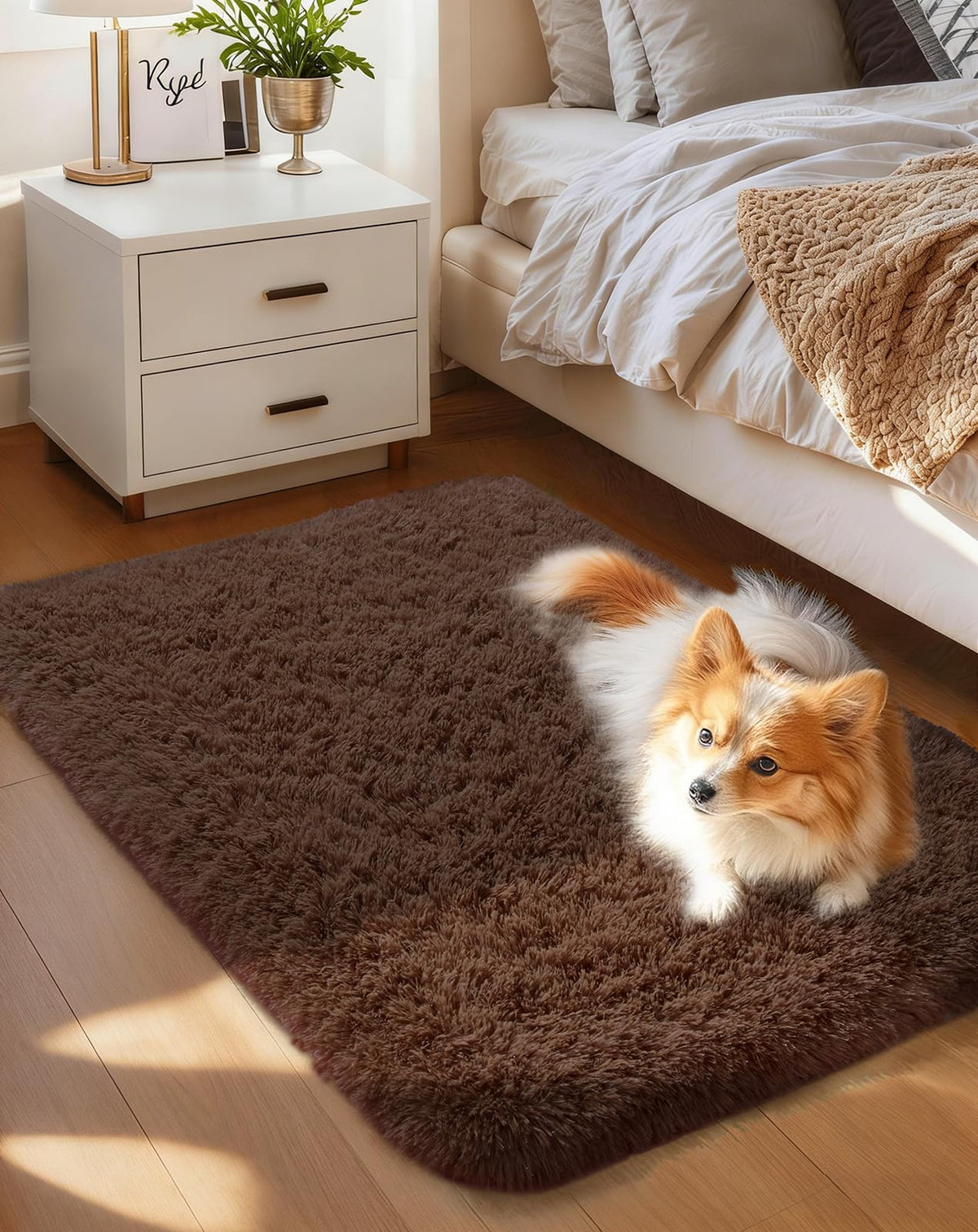 Ophanie Soft Area Rug for Bedroom and Living Room