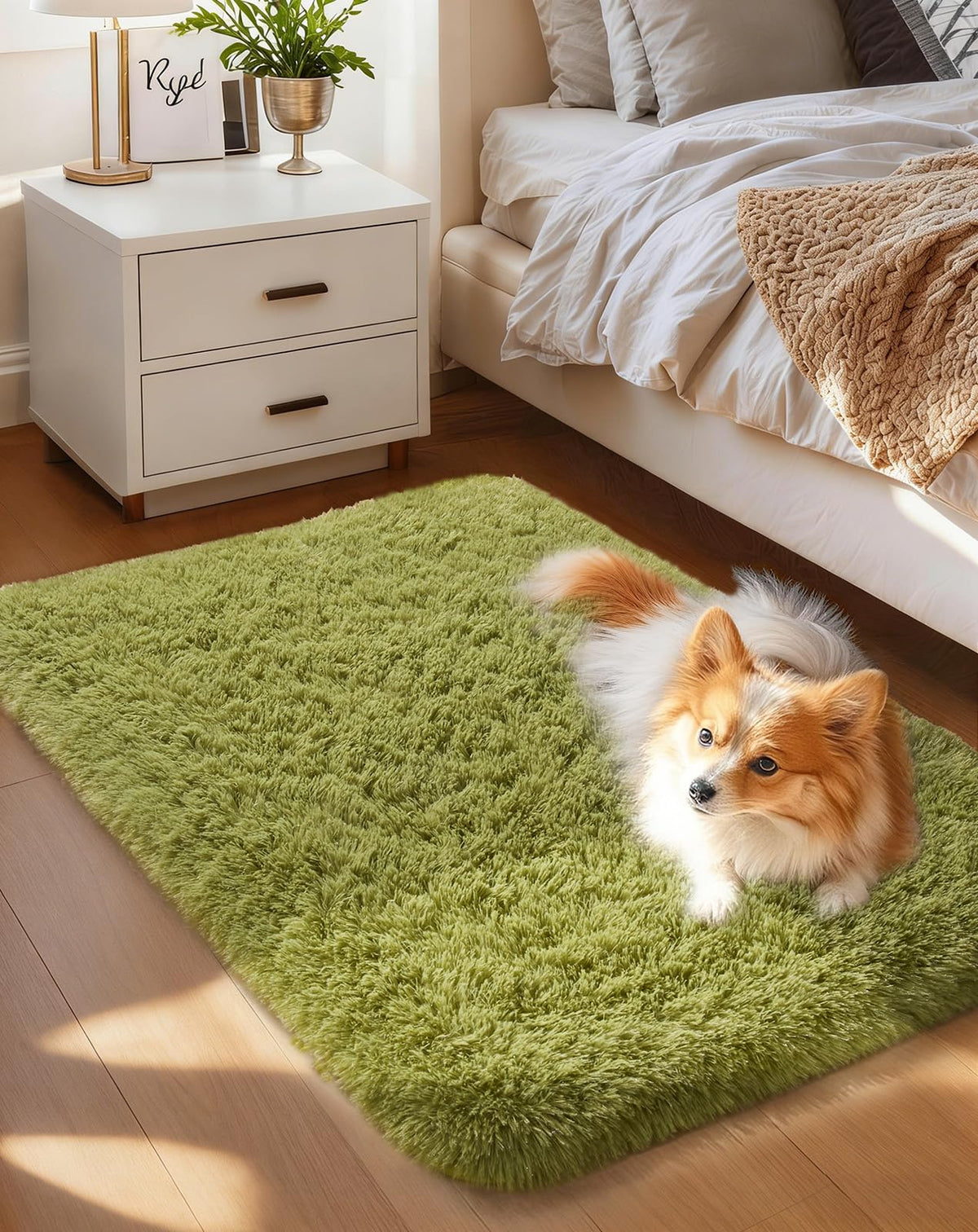 Ophanie Soft Area Rug for Bedroom and Living Room